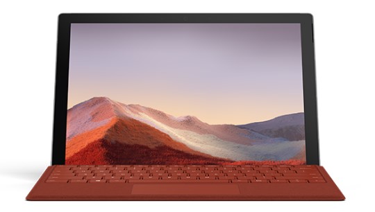 岑巩清洁和维护 Surface